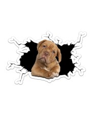 Pitbull Sticker - Single (Horizontal) front