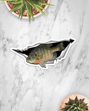 Bluegill Fish Sticker - Single (Horizontal) aos-sticker-single-horizontal-lifestyle-front-06