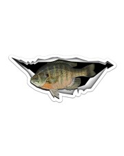 Bluegill Fish Sticker - Single (Horizontal) front
