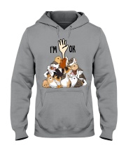 Guinea pigs Hooded Sweatshirt tile