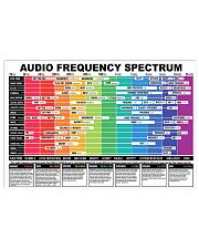 AUDIO FREQUENCY SPECTRUM 17x11 Poster front