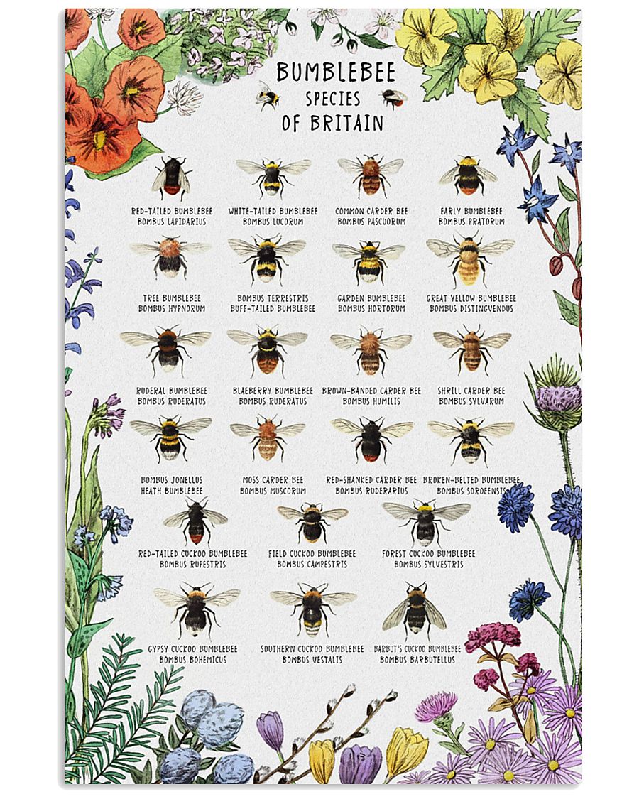 BEE MXNNB3112A 11x17 Poster
