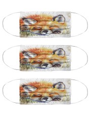 LIMITED EDITION Cloth Face Mask - 3 Pack front