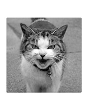 Sweet angry little cat Square Coaster tile