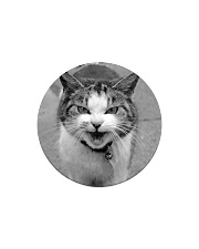Sweet angry little cat Circle Magnet tile