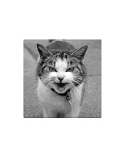Sweet angry little cat Square Magnet tile
