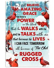 Cardinal bird I still believe in amazing grace 11x17 Poster front