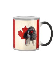 fn 9 canada flag Color Changing Mug tile