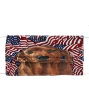 TH 32 Rhodesian Ridgeback In USA Pattern Cloth face mask front