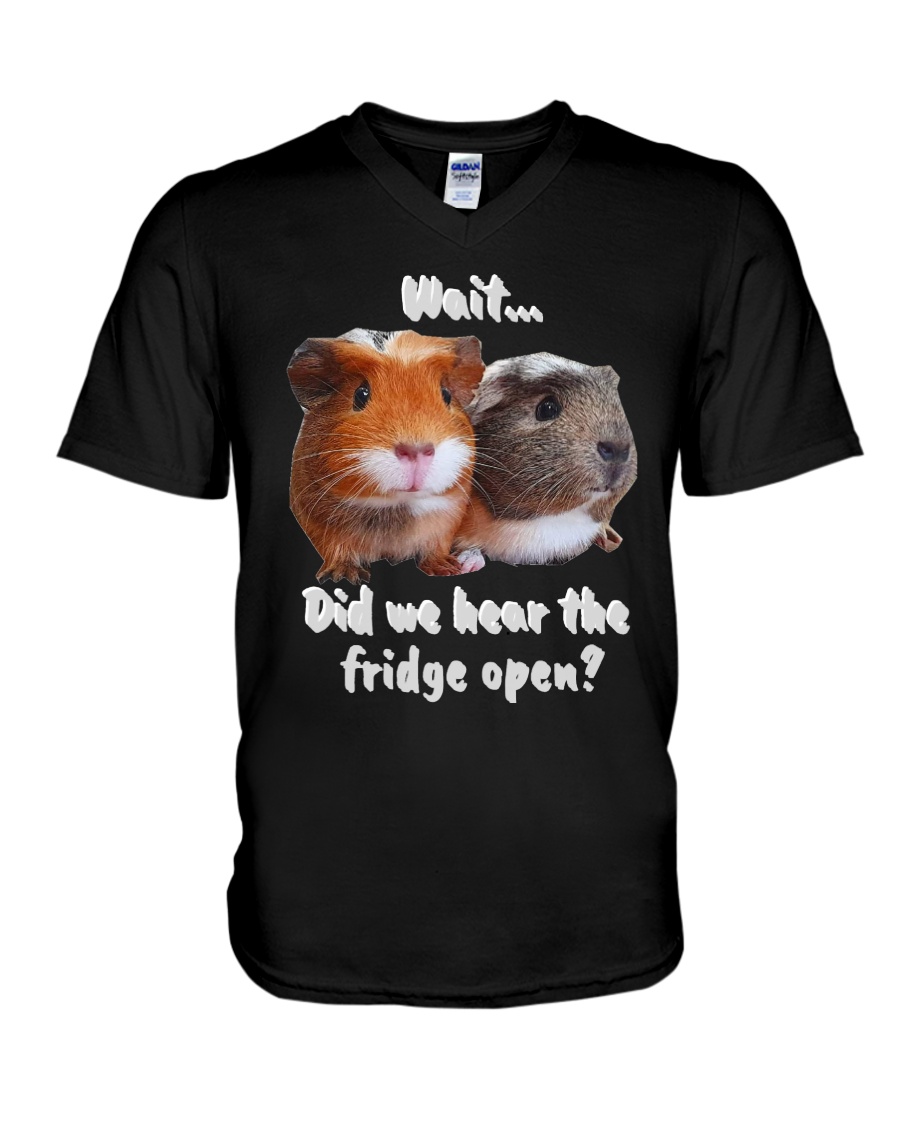 did we hear the fridge open V-Neck T-Shirt