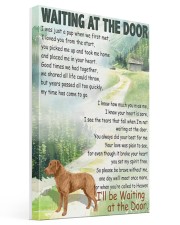 CHESAPEAKE BAY RETRIEVER WAITTING AT THE DOOR Gallery Wrapped Canvas Prints tile