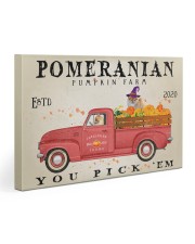 POMERANIAN DOG RED TRUCK PUMPKIN FARM Gallery Wrapped Canvas Prints tile