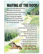 BORDER TERRIER DOG WAITTING AT THE DOOR 11x17 Poster front