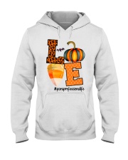 LOVE PARAPROFESSIONAL Hooded Sweatshirt thumbnail