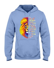 MS Hooded Sweatshirt thumbnail