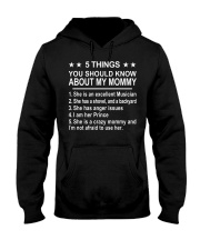 FUNNY DESIGN FOR MUSICIANS Hooded Sweatshirt thumbnail