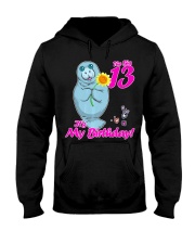 13 Years Old Manatee Sunflower It's Hooded Sweatshirt thumbnail
