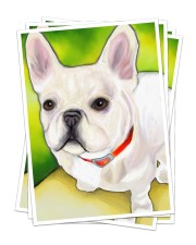 FRENCH BULLDOG 10 Sticker - 4 pack (Vertical) front