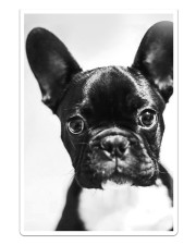 FRENCH BULLDOG 6 Sticker tile