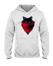 CAT LOVERS 38 Hooded Sweatshirt tile