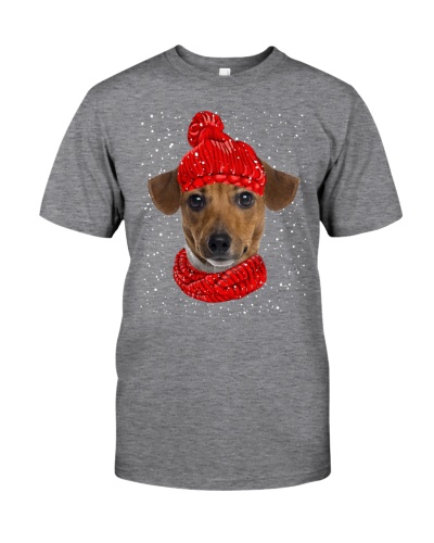 Jack Russell Terrier 