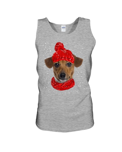 Jack Russell Terrier 