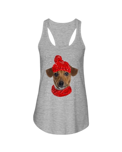 Jack Russell Terrier 