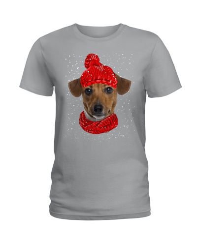 Jack Russell Terrier 
