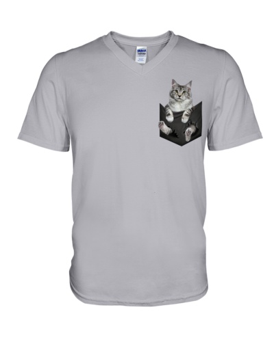 Cat in Pocket  