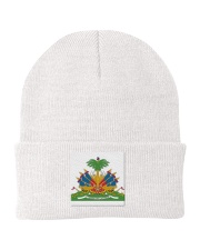 HAITI THE REVOLUTION WILL NOT BE TELEVISED Knit Beanie front
